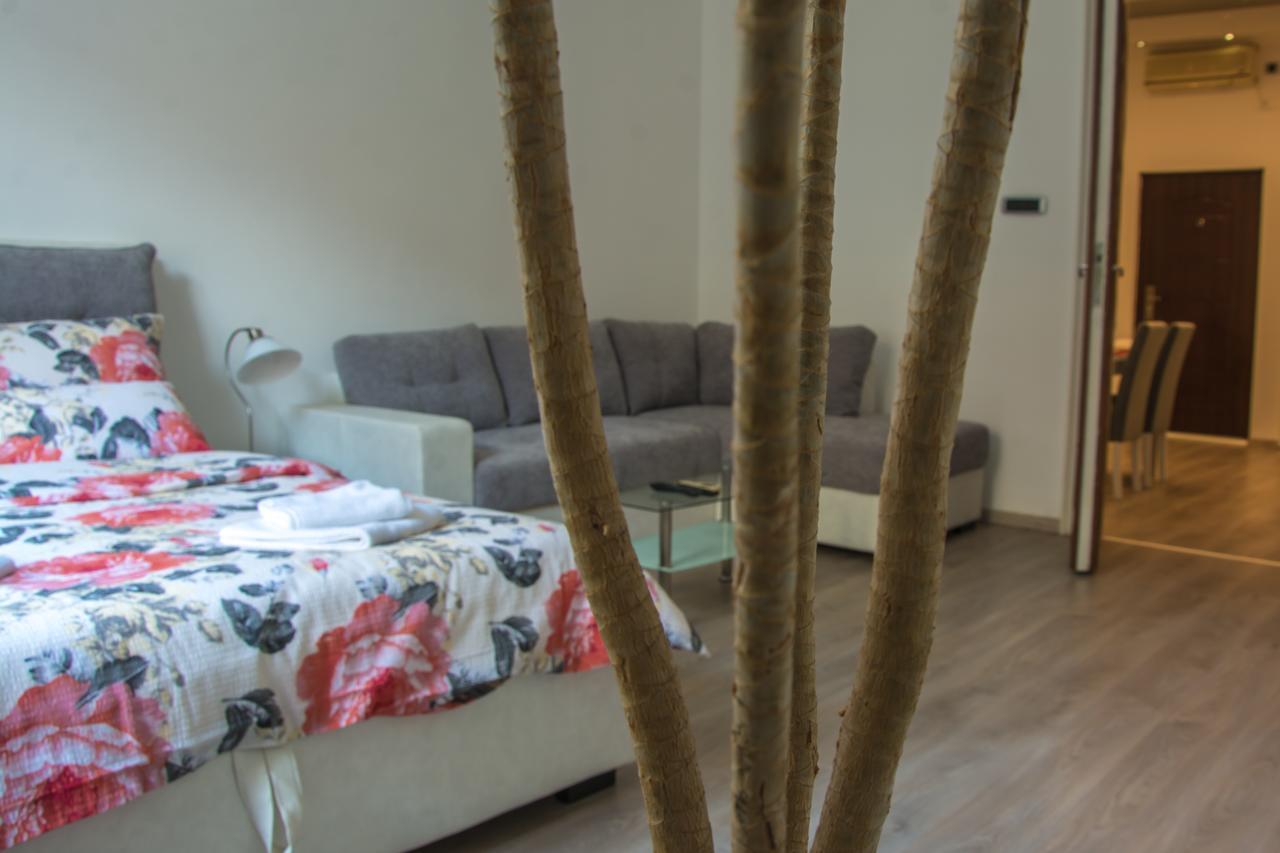 Apartment Petra 072 Belgrado Esterno foto